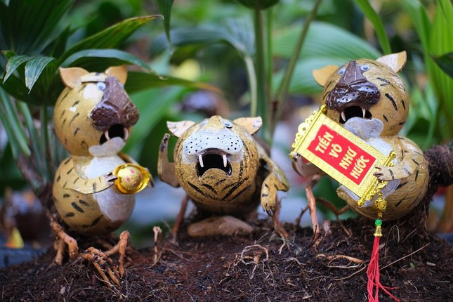 Suốt thời gian lên giống, người thợ phải uốn lá, làm rễ, đôn gốc dừa... cho dáng đẹp. Ảnh: Tiền phong