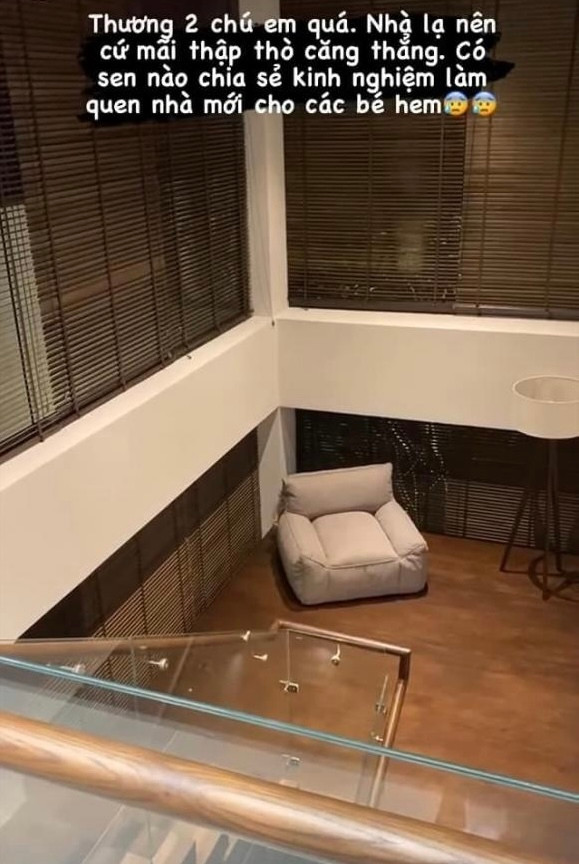 Trần nhà cao tạo cảm giác thoãng đãng. Cấu trúc của ngôi nhà tạo ra nhiều khoảng mở nhìn vô cùng đẹp mắt và gần gũi với thiên nhiên.