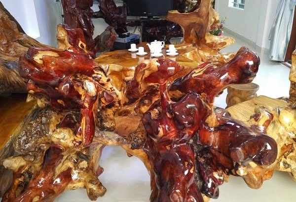 Điểm độc đáo của bộ bàn ghế gốc huỳnh đàn này là bộ rễ đã ngậm đá tự nhiên nằm dưới lòng đất chỉ còn lõi và một phần bộ rễ đã gần như hóa thạch. Ảnh: Vietnamnet