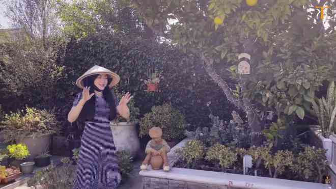 Trong khu vườn trồng rất nhiều loại cây. Đa số các cây đều được Hà Thanh Xuân mua về trồng từ khi còn nhỏ. Ảnh chụp màn hình