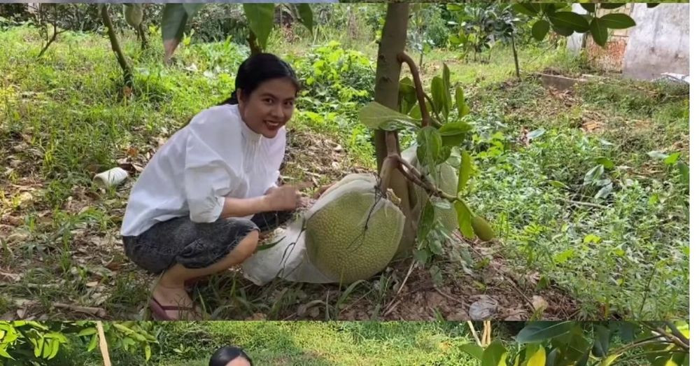 Trong Vlog, diễn viên Vân Trang vui vẻ giới thiệu từng loại cây trái có trong vườn. Ảnh: chụp màn hình
