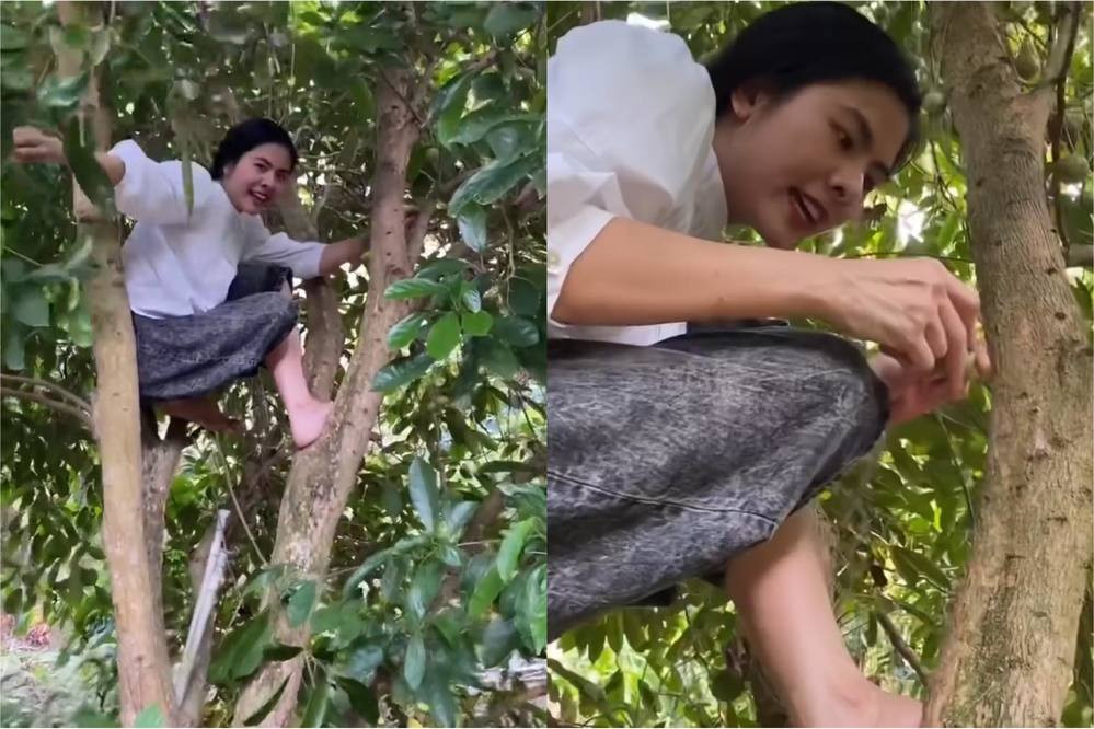 Vân Trang thích thú khi được trèo cây, hái quả. Ảnh chụp màn hình