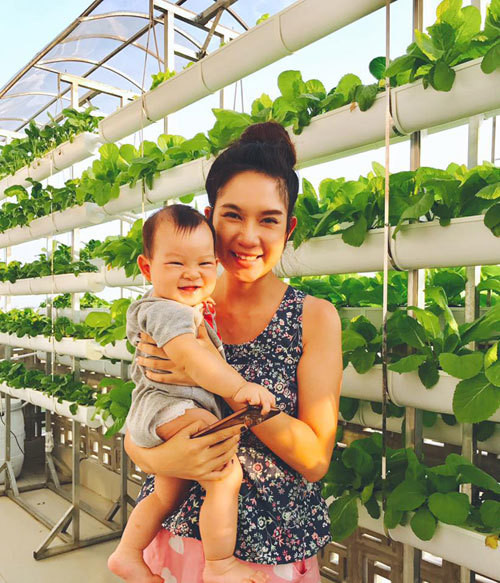 Bởi thế, trong nhà Lý Hải lúc nào cũng có rau sạch ăn do trồng nhiều loại gối nhau.