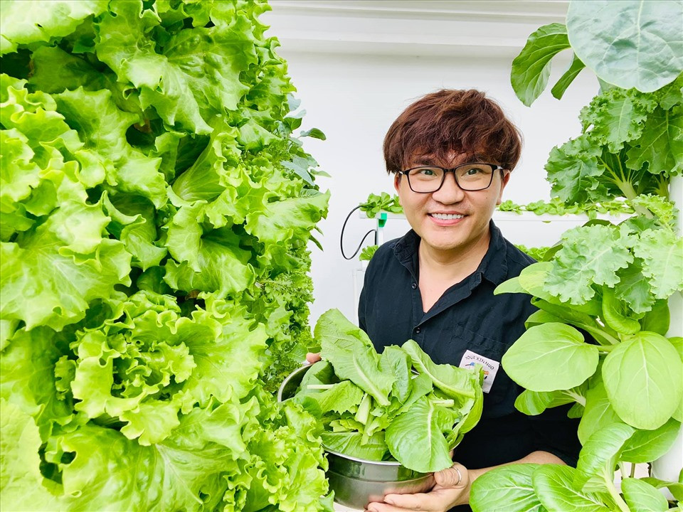 Trong vườn rau nhà MC Đại Nghĩa có có cải xanh, xà lách dùng để làm thức ăn hằng ngày.