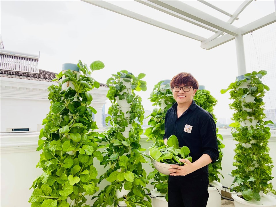 Nam MC cho biết nhờ chăm sóc kĩ nên rau tươi tốt và không sâu bệnh.
