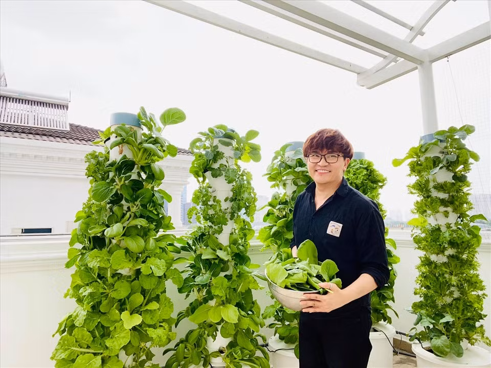 Nam MC cho biết nhờ chăm sóc kĩ nên rau tươi tốt và không sâu bệnh.