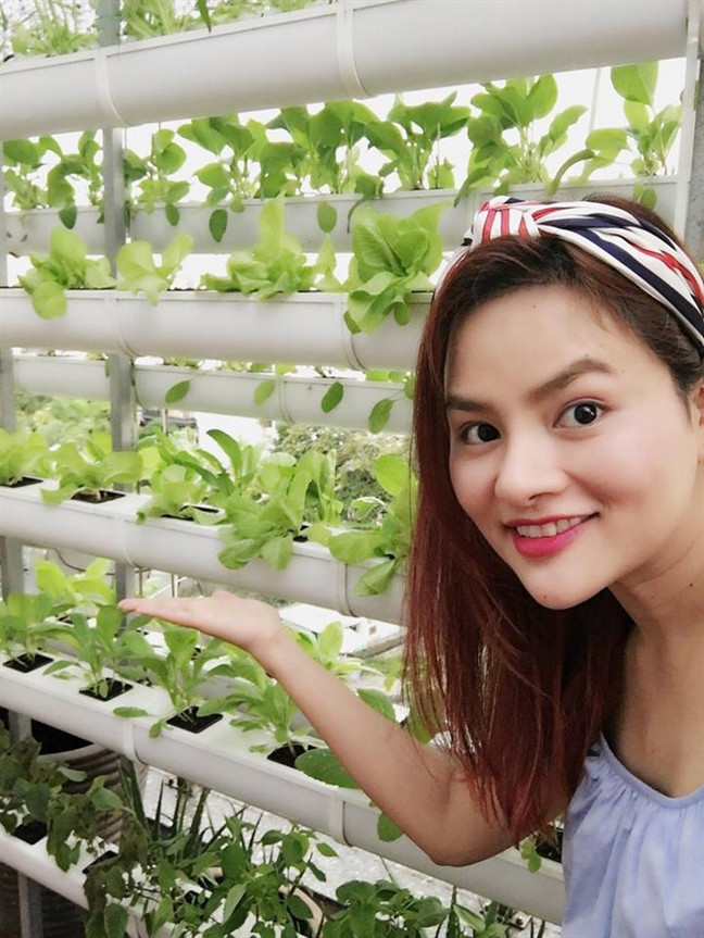Người đẹp áp dụng phương pháp trồng rau thủy vì người trồng không cần chăm bón đất mà vẫn đạt năng suất cao.