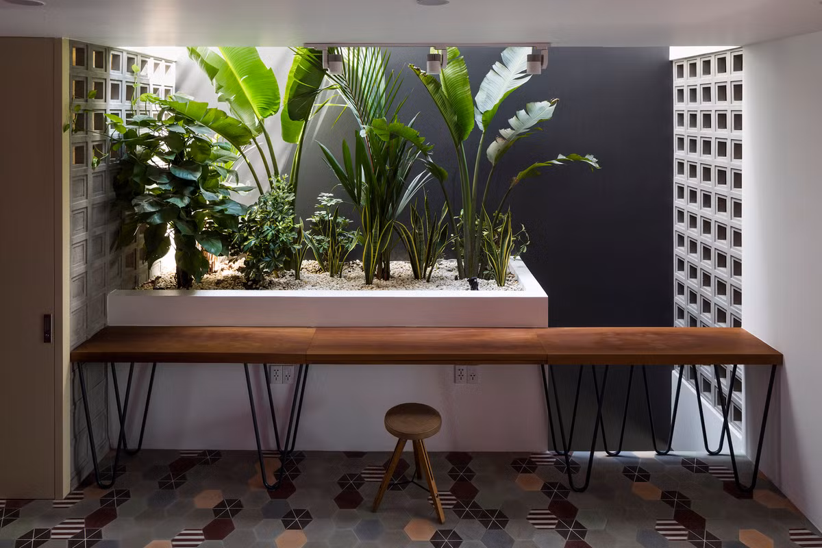 Giua Sai thanh, nha ong khong thieu gio va cay xanh-Hinh-10