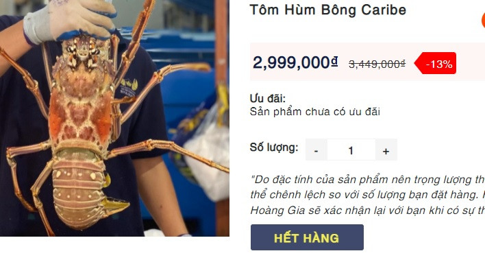 Hiện tại, trên website bán hàng của Hải sản Hoàng Gia, tôm hùm bông Caribbean đã hết hàng. Ảnh chụp màn hình