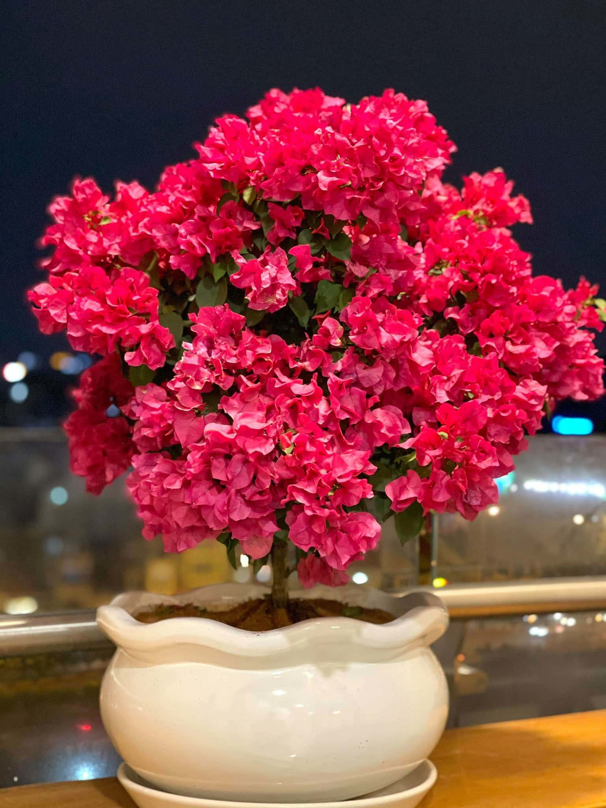 Nhiều khán giả cho rằng căn nhà của anh như một khu vườn thu nhỏ đầy sắc màu mùa xuân. Ảnh: FBNV