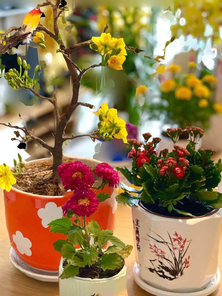 Dịp Tết 2021, Quang Lê thường xuyên chia sẻ những hình ảnh trong căn nhà này với không gian bên trong được trang trí nhiều hoa tươi rực rỡ. Ảnh: FBNV