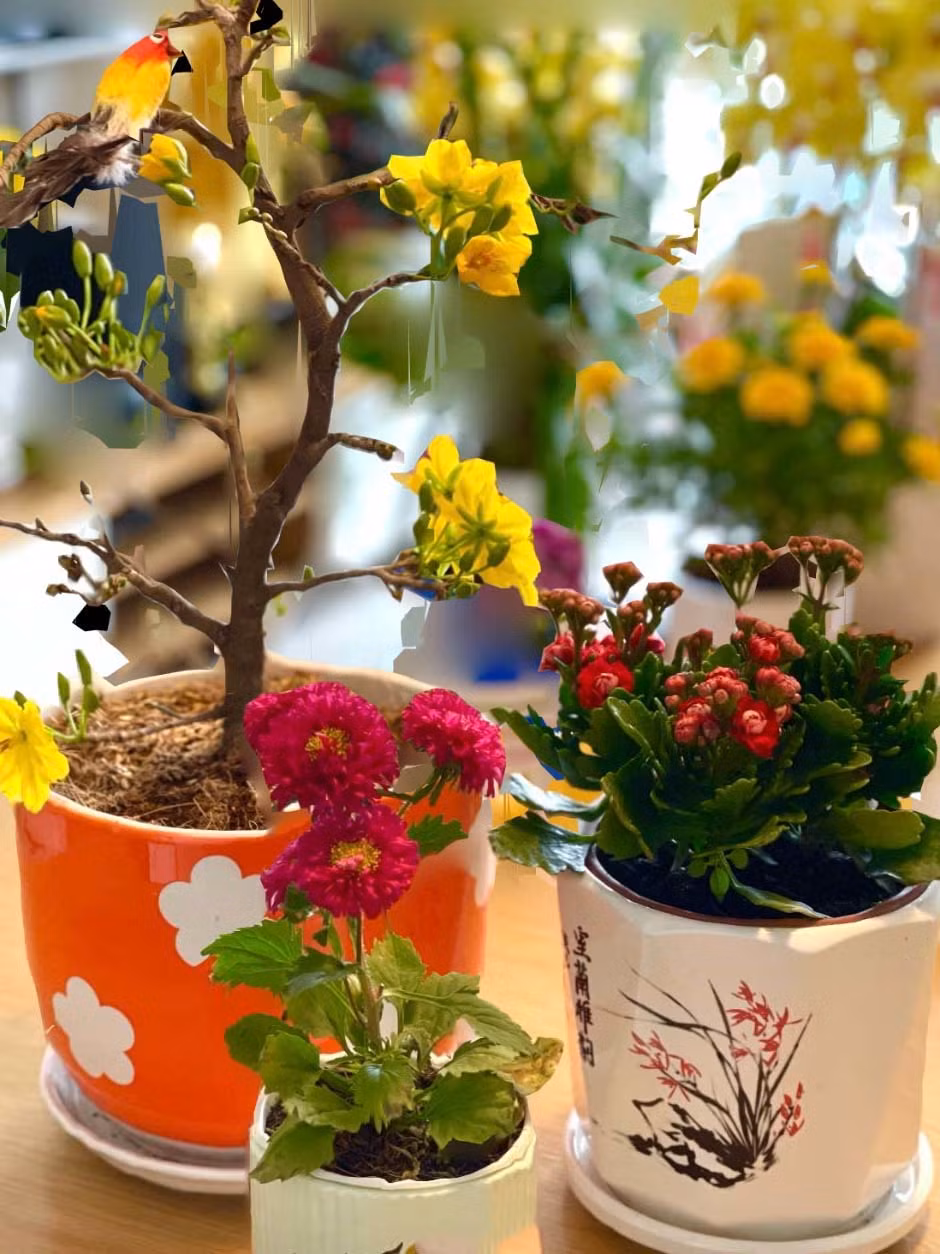 Dịp Tết 2021, Quang Lê thường xuyên chia sẻ những hình ảnh trong căn nhà này với không gian bên trong được trang trí nhiều hoa tươi rực rỡ. Ảnh: FBNV