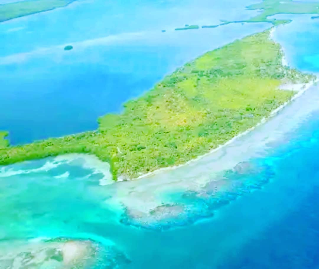 Đảo Grand Bugue có góc view nhìn ra biển xanh mát, được bao quanh bởi những cây cọ và dừa. Ngoài ra, hòn đảo còn có một khu rừng rộng lớn ở phía sau. Ảnh: Facebook