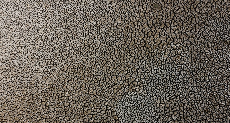 Các nhà nghiên cứu ở Đại học Chile dự đoán lượng nước ở quốc gia này sẽ giảm 30% trong vòng 30 năm tới, và tình trạng mà ngày nay gọi là hạn hán sẽ trở thành thông thường trong tương lai. Ảnh: Reuters.