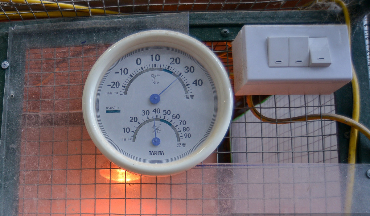 Bên ngoài các lồng nuôi gà luôn có đồng hồ đo nhiệt độ môi trường. Ảnh: Dân Việt