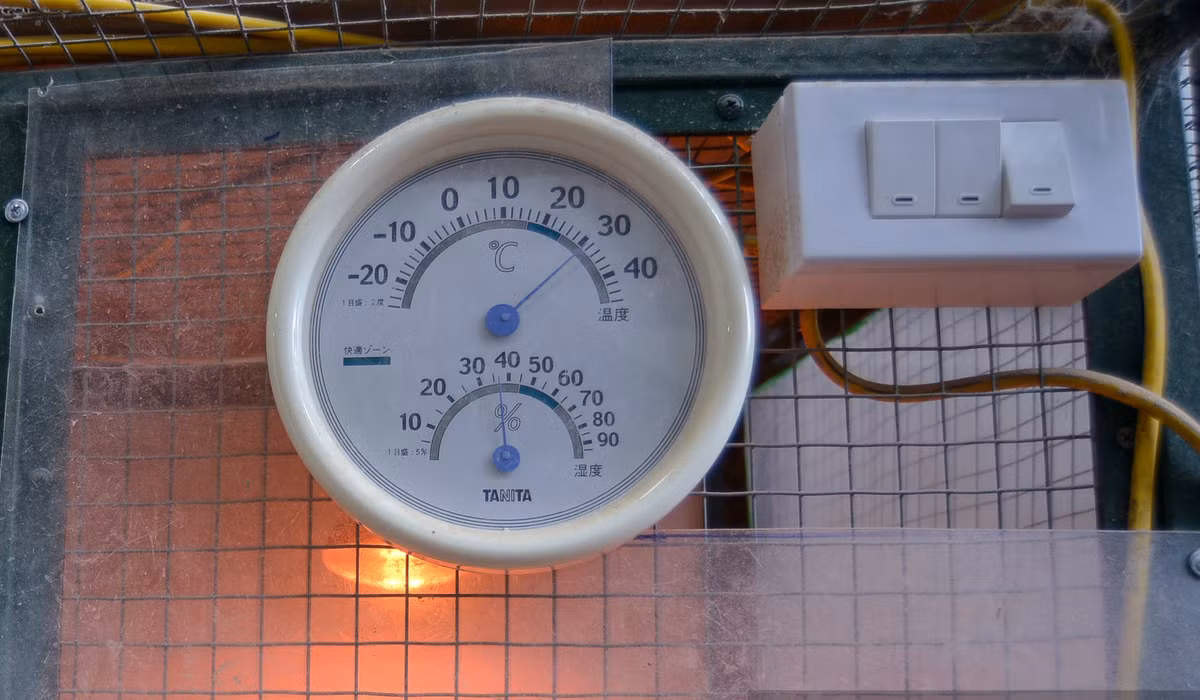 Bên ngoài các lồng nuôi gà luôn có đồng hồ đo nhiệt độ môi trường. Ảnh: Dân Việt