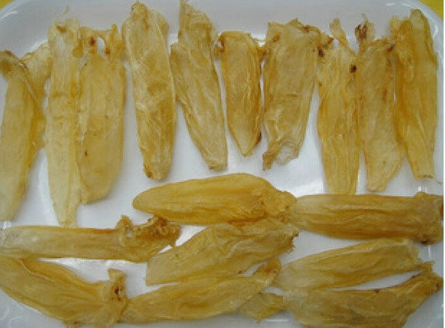 Cụ thể, bong bóng cá sủ vàng là nguyên liệu hữu cơ để sản xuất ra một loại chỉ tự tiêu có khả năng tự hủy sau khi phẫu thuật cho bệnh nhân. Ảnh: Vietnamnet