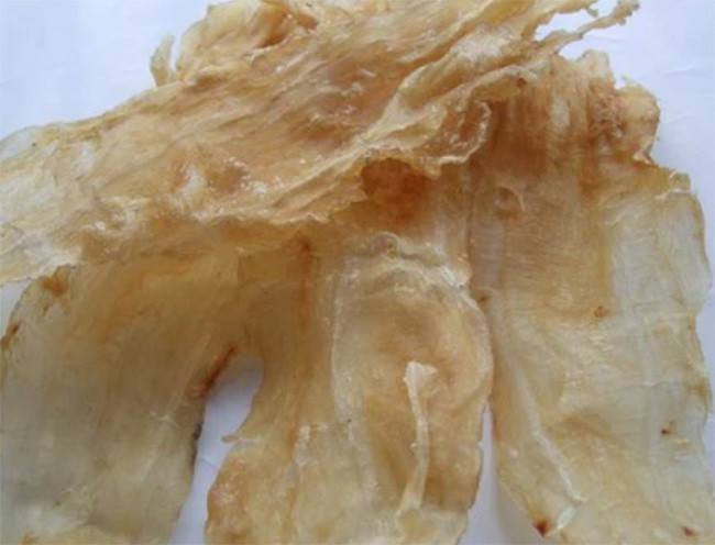 1kg bong bóng cá sủ vàng tươi đạt mức từ 45.000 - 55.000 USD/kg, tương đương từ 1 - 1,25 tỷ đồng/kg. Ảnh: Internet