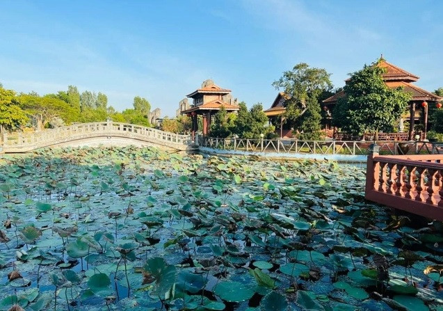 Theo người được ông Hàng ủy quyền, giấy tờ khu đất xây biệt phủ có đến 4 loại là thổ cư, trang trại, cây lâu năm và trồng lúa. Ảnh: Facebook