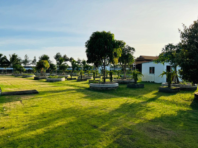 Căn biệt phủ giống khu du lịch sinh thái với núi nhân tạo. Ảnh: Facebook