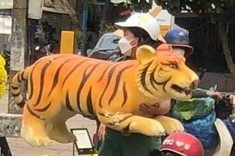 3 linh vat ho con doan tu cung gia dinh sau khi bi nguoi dan “bat coc“