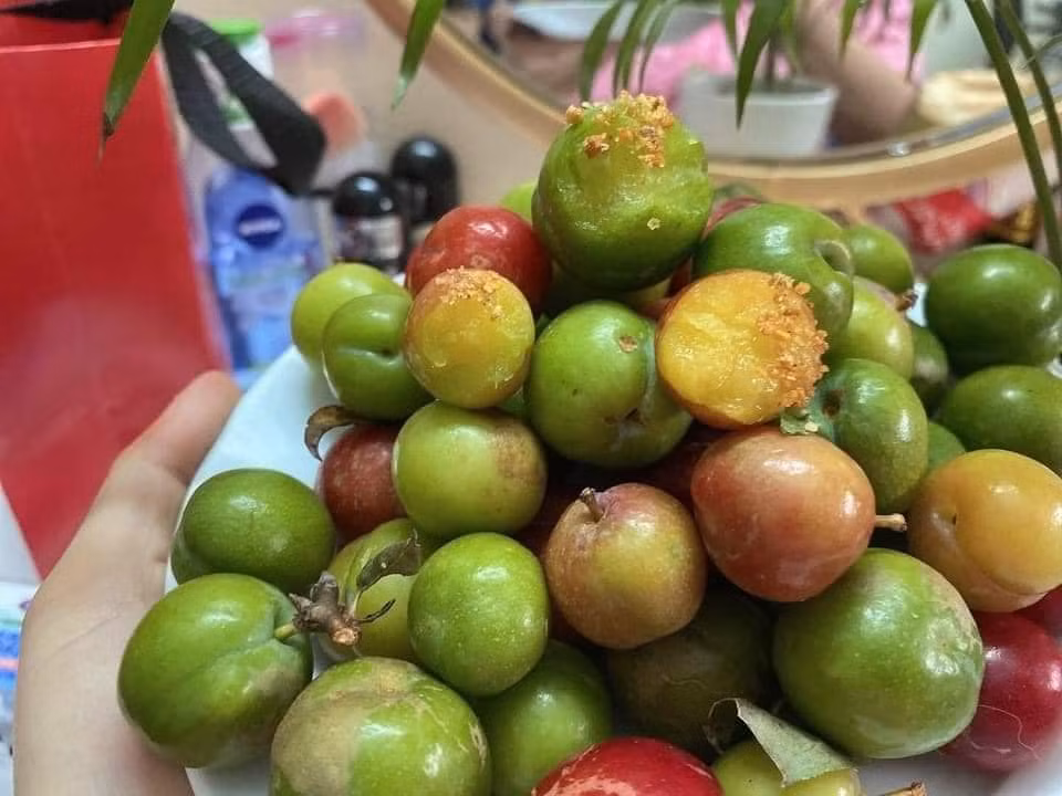 Dat gap nhieu lan, man com dau mua van hut khach-Hinh-2