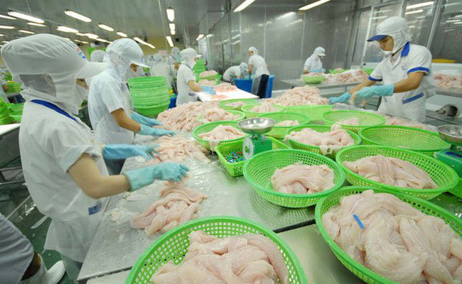 Với tài quản lý và sự nhanh nhạy trong nắm bắt thị trường, ông đã đưa Công ty cổ phần Hùng Vương trở thành một trong những doanh nghiệp lớn nhất ngành thủy sản Việt Nam. Ảnh: Dân Việt