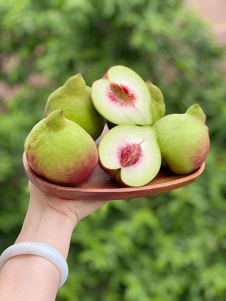 Dao Trung Quoc ngap cho, phan biet dao Viet Nam bang cach nao?