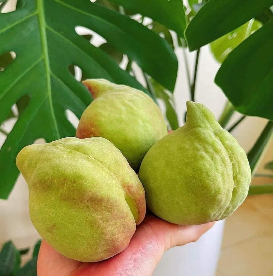 Dao Trung Quoc ngap cho, phan biet dao Viet Nam bang cach nao?-Hinh-3