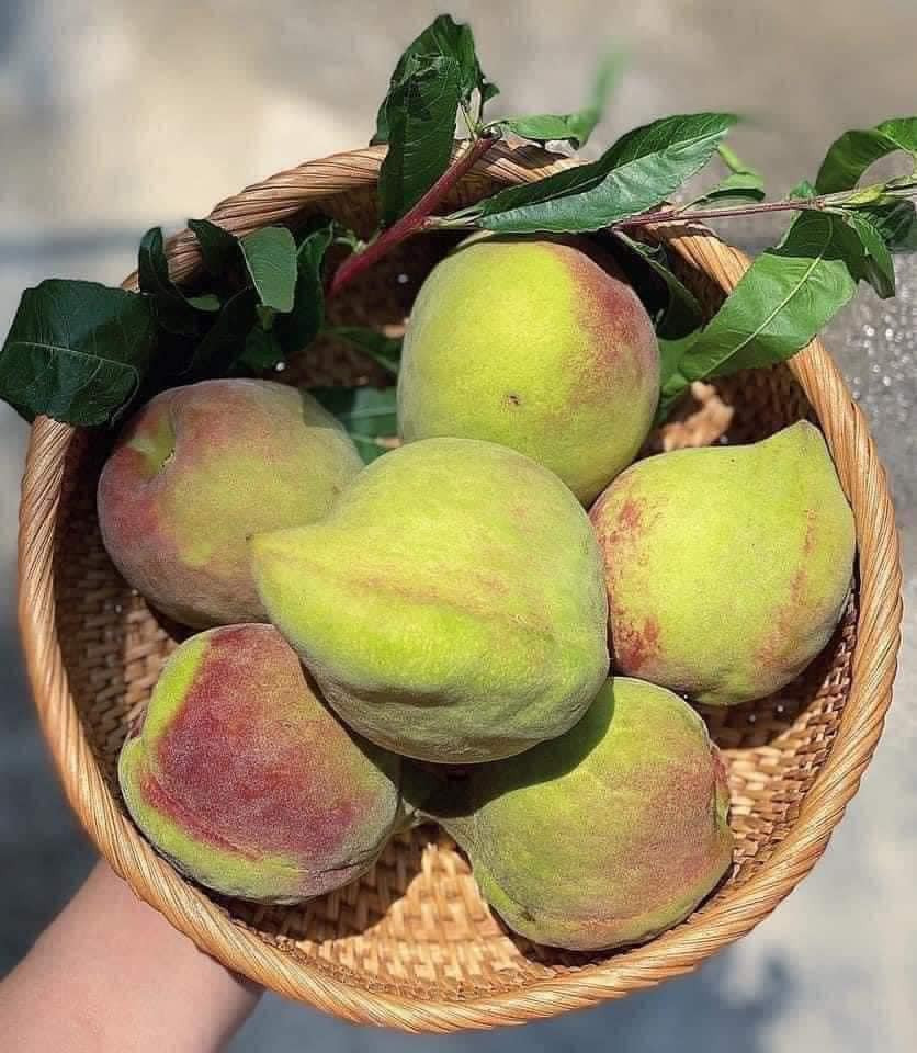 Dao Trung Quoc ngap cho, phan biet dao Viet Nam bang cach nao?-Hinh-2