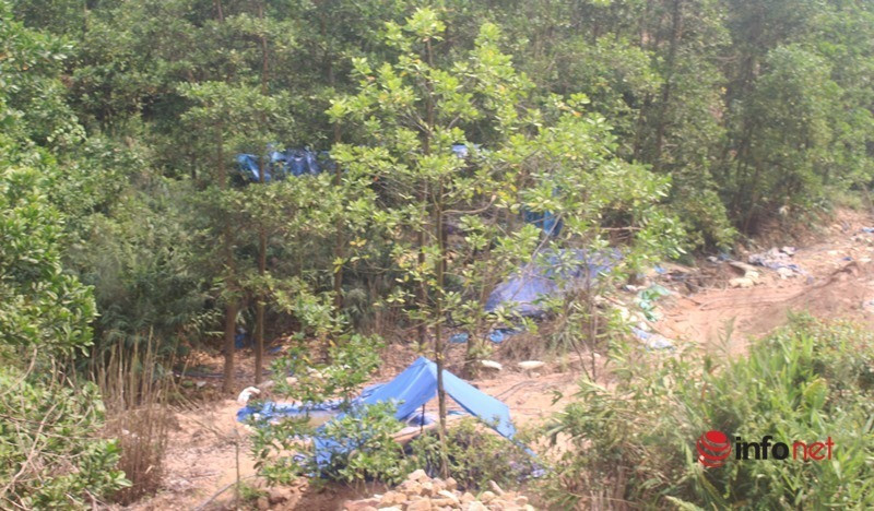 Tại khu vực Đồi Sim cũng tương tự với hàng chục lán trại nằm giữa rừng. Phu vàng N. (trú huyện Bắc Trà My, tỉnh Quảng Nam) cho biết, anh được thuê đến đây khai thác vàng với tiền công hơn 5 triệu đồng mỗi tháng.