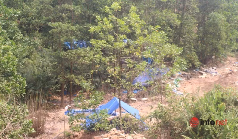 Tại khu vực Đồi Sim cũng tương tự với hàng chục lán trại nằm giữa rừng. Phu vàng N. (trú huyện Bắc Trà My, tỉnh Quảng Nam) cho biết, anh được thuê đến đây khai thác vàng với tiền công hơn 5 triệu đồng mỗi tháng.