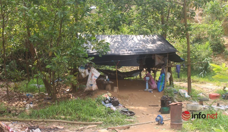 Năm 2005, Công ty TNHH Bồng Miêu được cấp phép khai thác mỏ vàng này và giấy phép hết hạn vào năm 2016. Năm 2018, tòa án đã ban hành quyết định mở thủ tục phá sản đối với công ty. Người dân xã Tam Lãnh cho biết, Công ty vàng Bồng Miêu đã phá sản nhưng các mỏ vàng ở đây vẫn hoạt động thải hóa chất ra môi trường rất đáng sợ. Nguồn nước bị ô nhiễm nếu trâu bò uống phải nước trên sông Bồng Miêu là không bao giờ lớn cũng như không sinh sản được. Ngoài ra, các hóa chất như thủy ngân, cyanua ngấm vào mạch nước ngầm khiến nguồn nước sinh hoạt của nhiều hộ dân ở đây bị ô nhiễm nghiêm trọng.