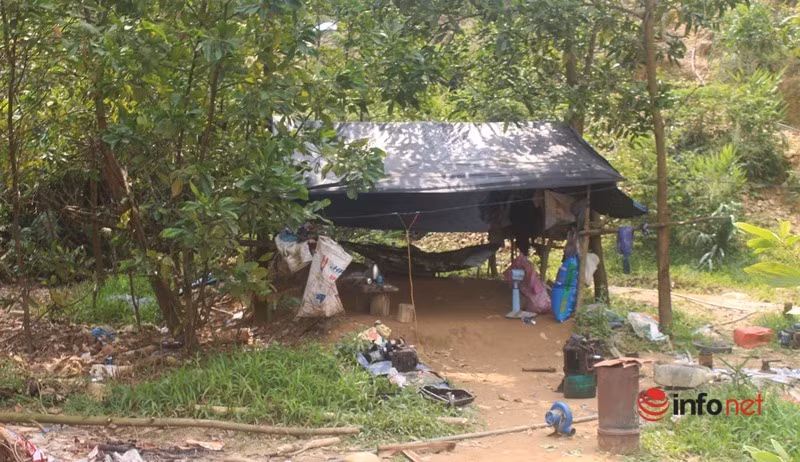 Năm 2005, Công ty TNHH Bồng Miêu được cấp phép khai thác mỏ vàng này và giấy phép hết hạn vào năm 2016. Năm 2018, tòa án đã ban hành quyết định mở thủ tục phá sản đối với công ty. Người dân xã Tam Lãnh cho biết, Công ty vàng Bồng Miêu đã phá sản nhưng các mỏ vàng ở đây vẫn hoạt động thải hóa chất ra môi trường rất đáng sợ. Nguồn nước bị ô nhiễm nếu trâu bò uống phải nước trên sông Bồng Miêu là không bao giờ lớn cũng như không sinh sản được. Ngoài ra, các hóa chất như thủy ngân, cyanua ngấm vào mạch nước ngầm khiến nguồn nước sinh hoạt của nhiều hộ dân ở đây bị ô nhiễm nghiêm trọng.