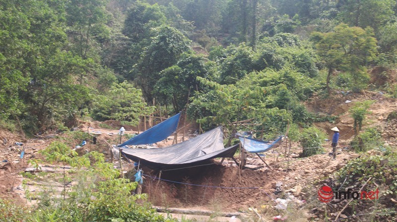 Kinh phí thực hiện gần 19,5 tỷ đồng, từ nguồn của Công ty TNHH Khai thác vàng Bồng Miêu đã ký quỹ cải tạo, phục hồi môi trường tại kho bạc nhà nước huyện Phú Ninh và nguồn bổ sung từ ngân sách tỉnh Quảng Nam.