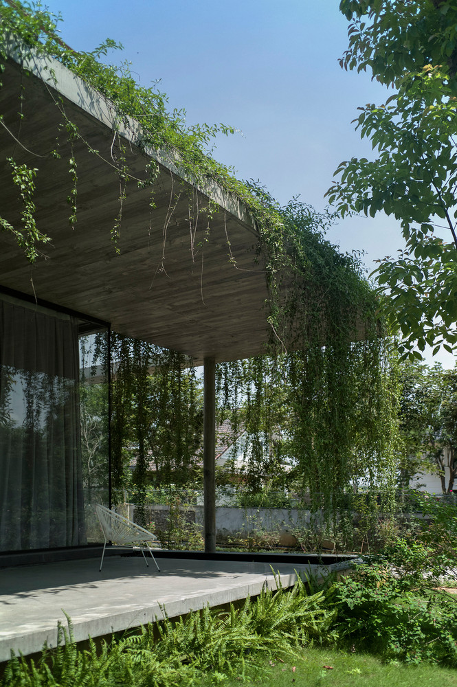 Nhìn từ xa, căn biệt thự như ẩn mình trong khu rừng thông yên bình. Gia chủ quyết định không cắt bỏ mảng xanh thân thiện, thay vào đó căn nhà được xây xung quanh.