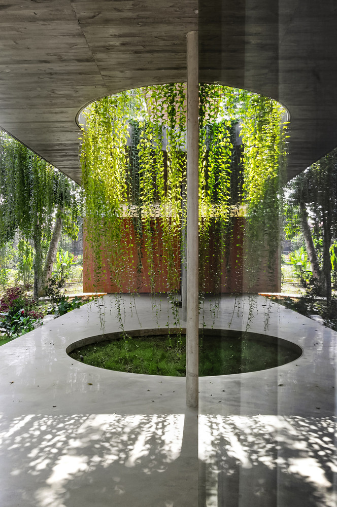 Các cây thông nằm trong khu vực nền nhà được khéo léo khoét một phần mái hình tròn bao phủ bởi tiểu cảnh phía dưới. Các dây leo rủ từ trên tạo ra màu xanh cho cả không gian.