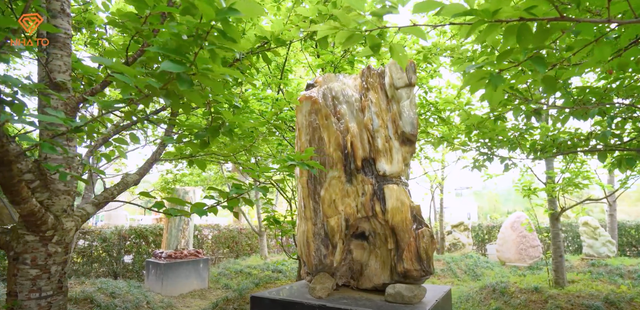 Ngoài khu vườn, biệt thự của Phó chủ tịch Bùi Quang Ngọc còn đặc biệt ở bộ sưu tập đá ngọc và gỗ hoá thạch.