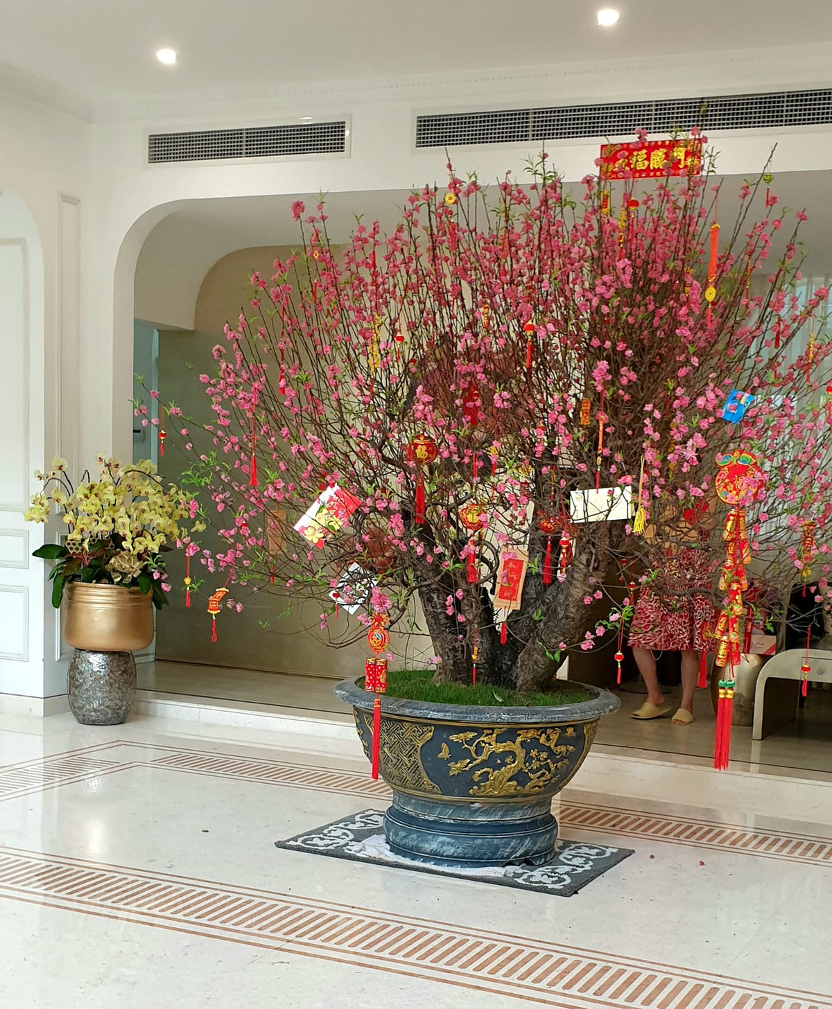 Vào dịp Tết, ngôi nhà của nữ doanh nhân được tô điểm bằng một chậu đào lớn.