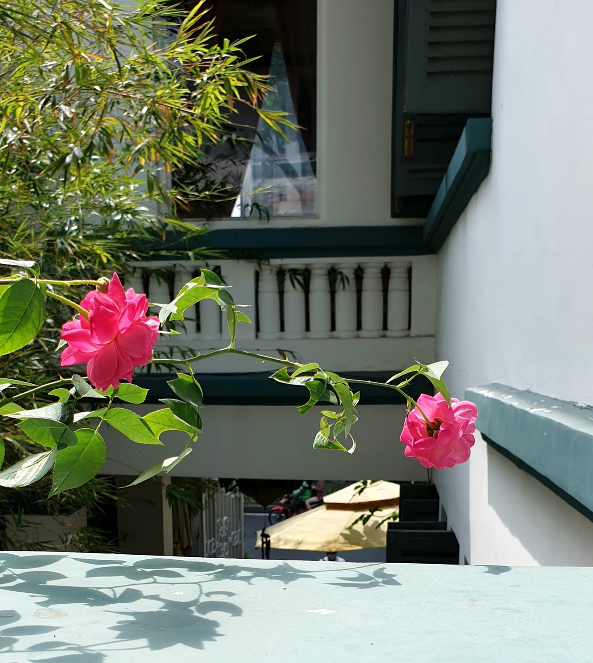 Hiện tại, bà Sơn có thú vui với Facebook. Trên trang cá nhân, nữ doanh nhân cũng thường xuyên chia sẻ hình ảnh không gian ngôi nhà của mình.