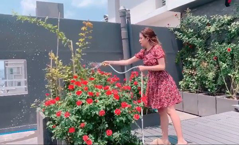 Trong nhà, Hoàng Thuỳ Linh cũng dành không gian để trồng hoa và cây cảnh. Ảnh: FBNV