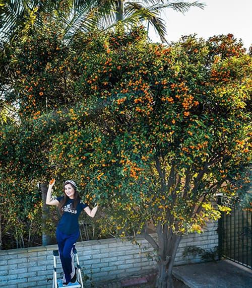 Ở cuối sân, Hạ Vy trồng thêm cây quất Mỹ.