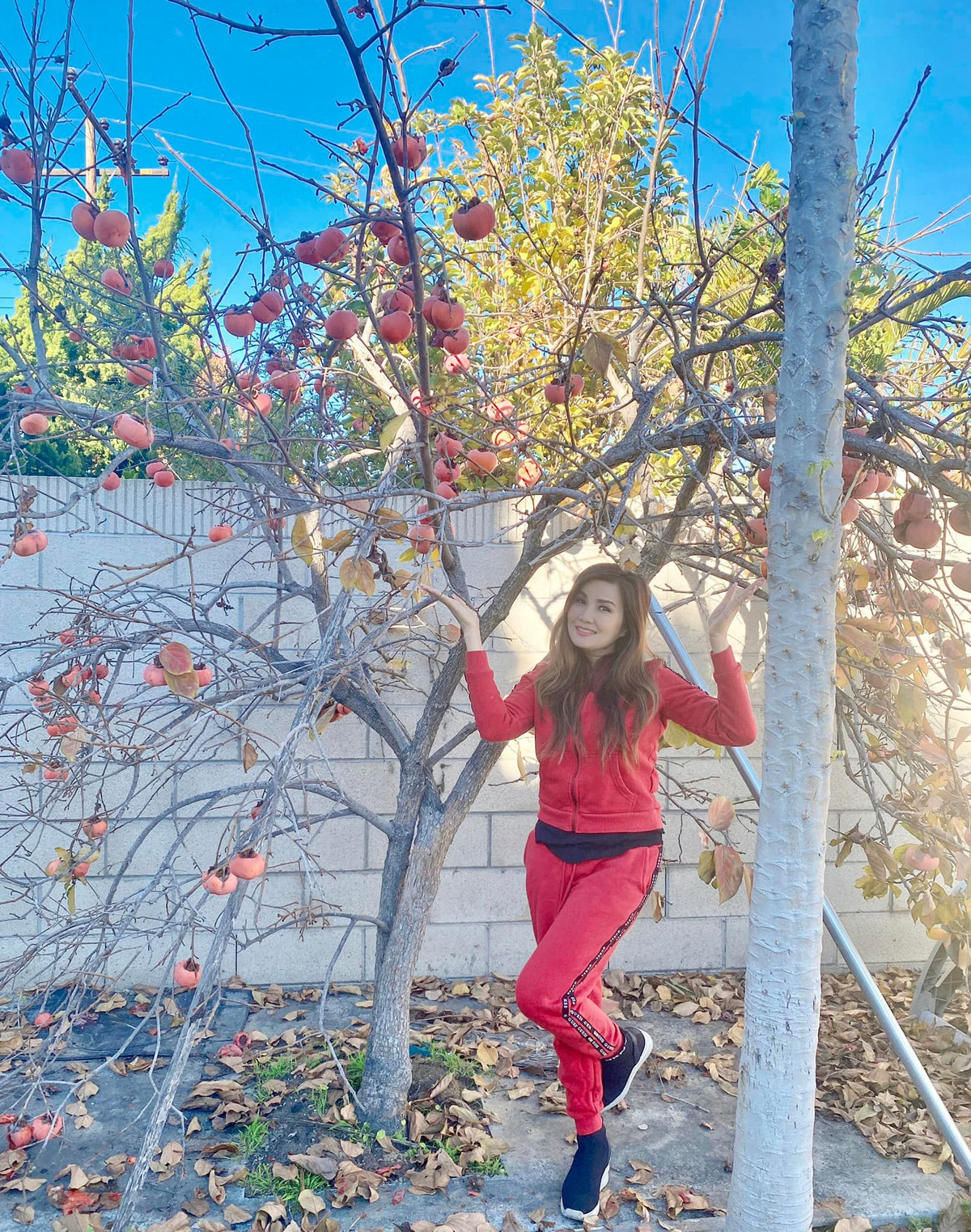  Ca sĩ Hạ Vy đang có cuộc sống bình yên ở tiểu bang California (Mỹ). Định cư tại xứ sở cờ hoa, Hạ Vy sớm có cơ ngơi khang trang với khu vườn rộng lớn.