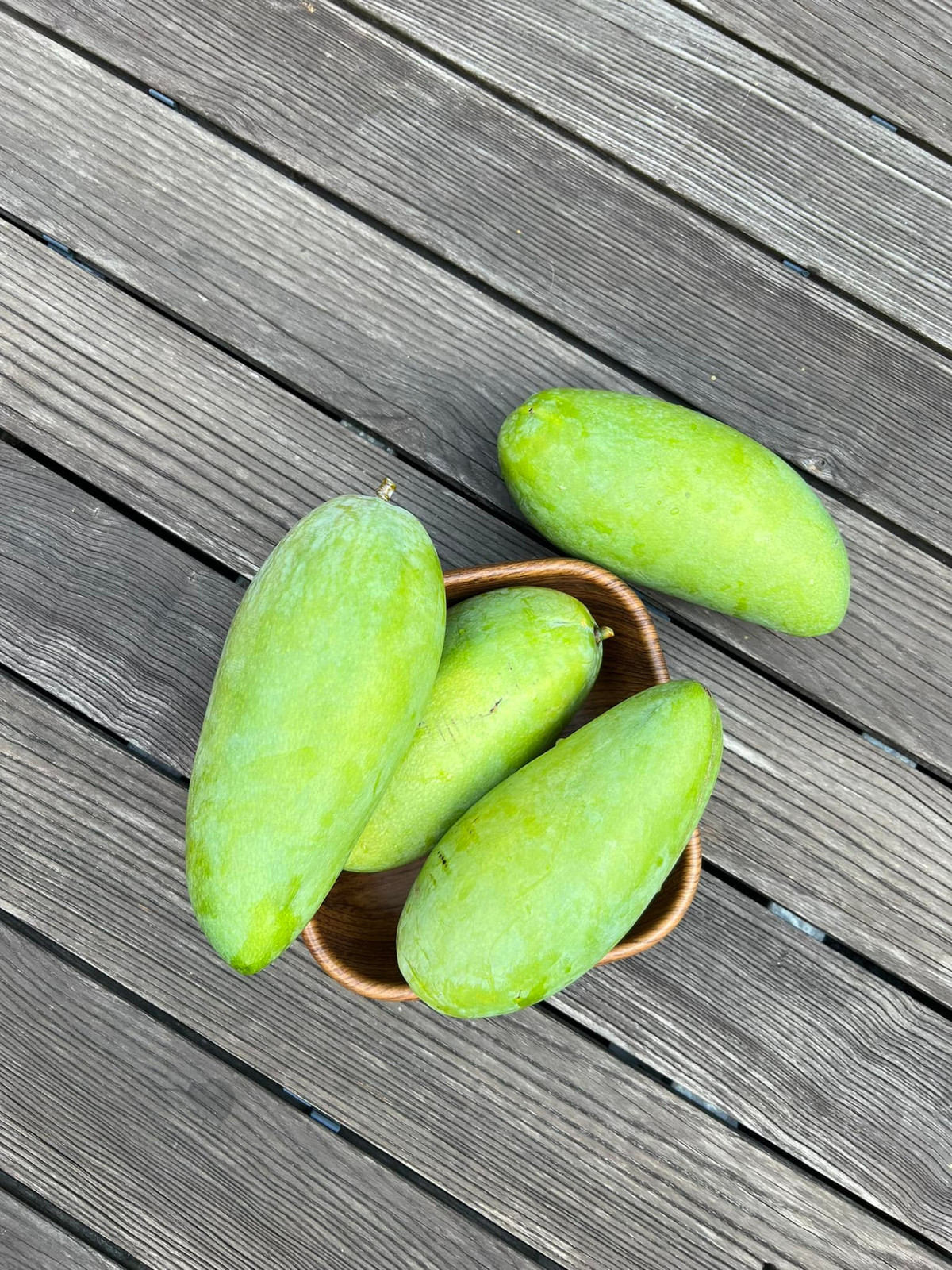 Trước đó, ai cũng biết biệt thự của Tăng Thanh Hà có một cây xoài sai trĩu quả.