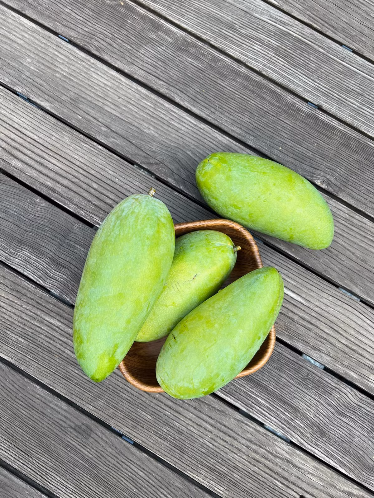 Trước đó, ai cũng biết biệt thự của Tăng Thanh Hà có một cây xoài sai trĩu quả.