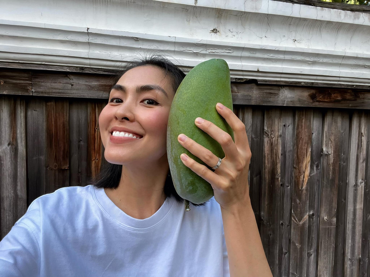 Đáng chú ý, có quả xoài nặng tới 1,5kg.