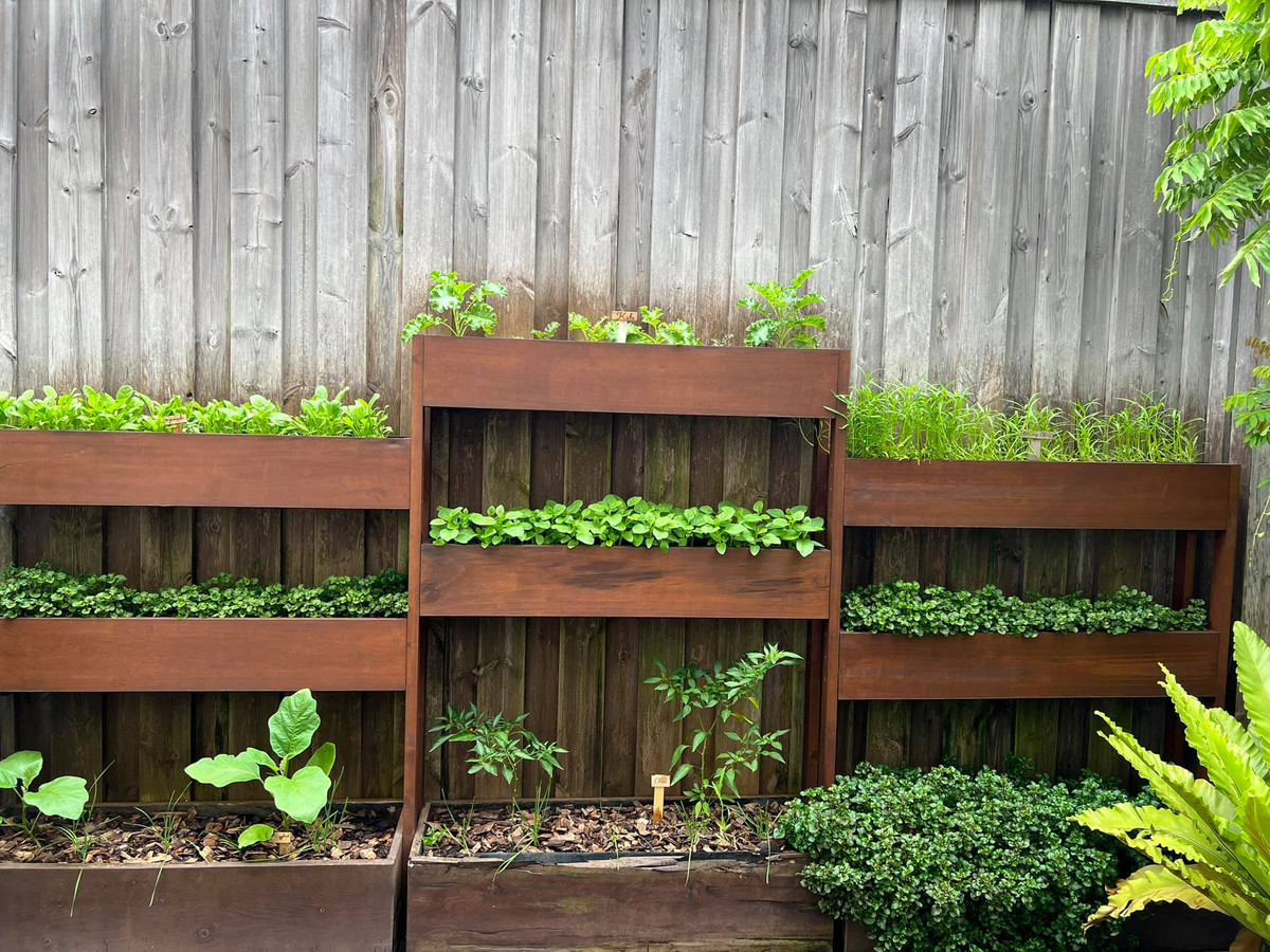 Loại rau nào cũng tốt um.