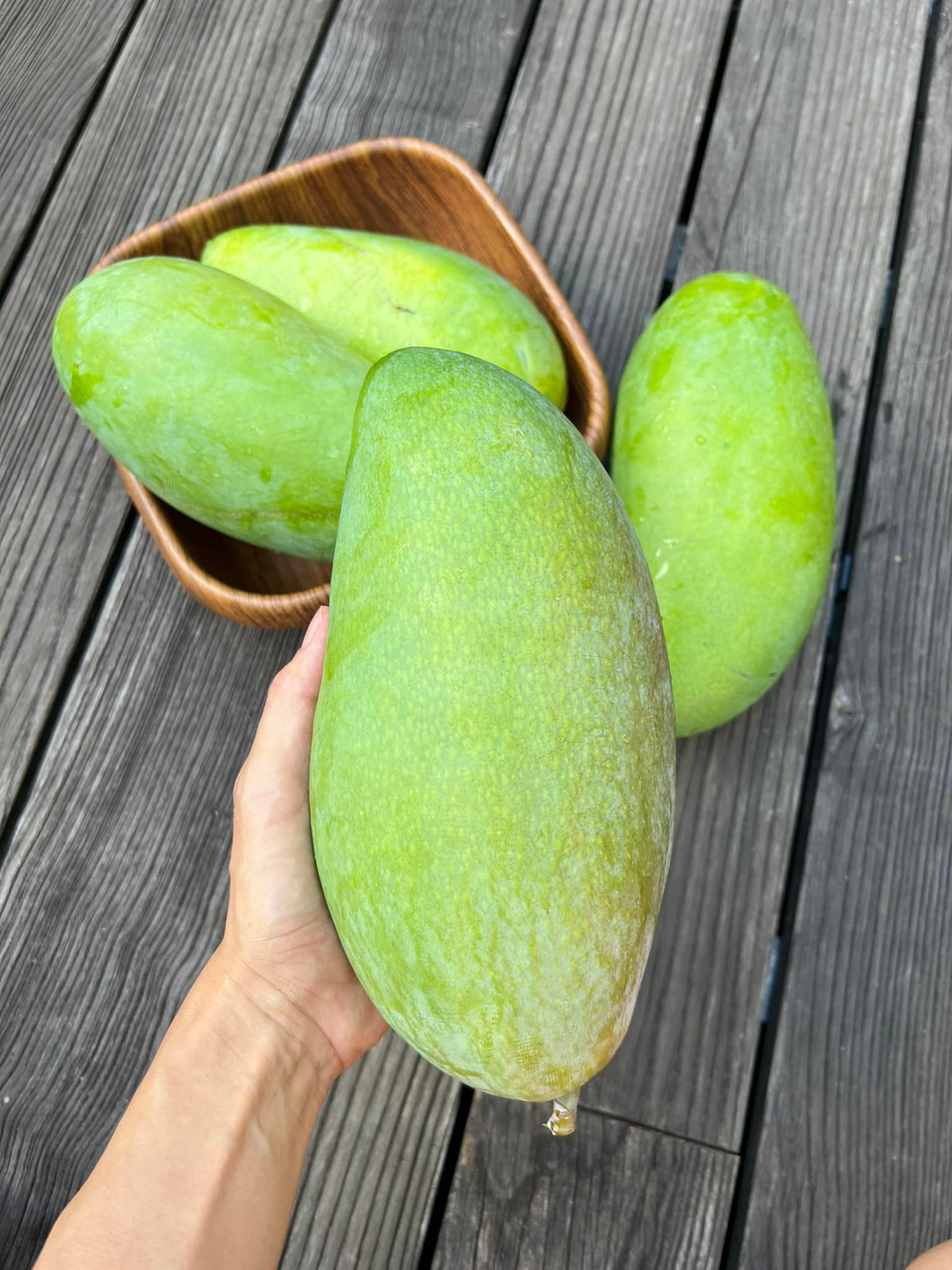 Từ những năm trước, khi tới vụ, nữ diễn viên lại thu hoạch và khoe với người hâm mộ.