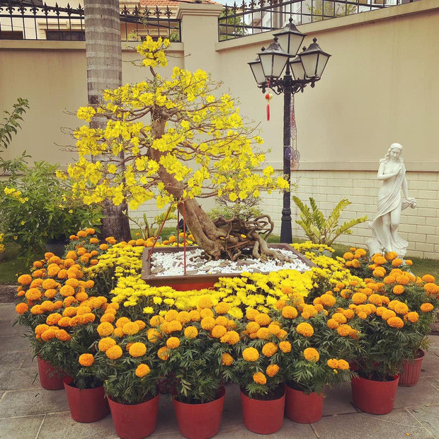 Dù căn biệt thự Phillip Nguyễn đang sống chỉ xuất hiện một góc nhưng dân tình cũng kịp nhận ra nó là 1 căn khác với không gian nhà chung mà Tiên Nguyễn và Hiếu Nguyễn đang sống với bố mẹ, tỷ phú Johnathan Hạnh Nguyễn.