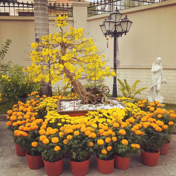 Dù căn biệt thự Phillip Nguyễn đang sống chỉ xuất hiện một góc nhưng dân tình cũng kịp nhận ra nó là 1 căn khác với không gian nhà chung mà Tiên Nguyễn và Hiếu Nguyễn đang sống với bố mẹ, tỷ phú Johnathan Hạnh Nguyễn.